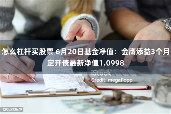 怎么杠杆买股票 6月20日基金净值：金鹰添益3个月定开债最新净值1.0998