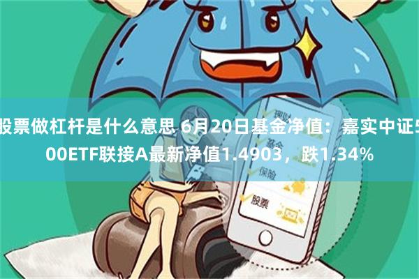 股票做杠杆是什么意思 6月20日基金净值：嘉实中证500ETF联接A最新净值1.4903，跌1.34%