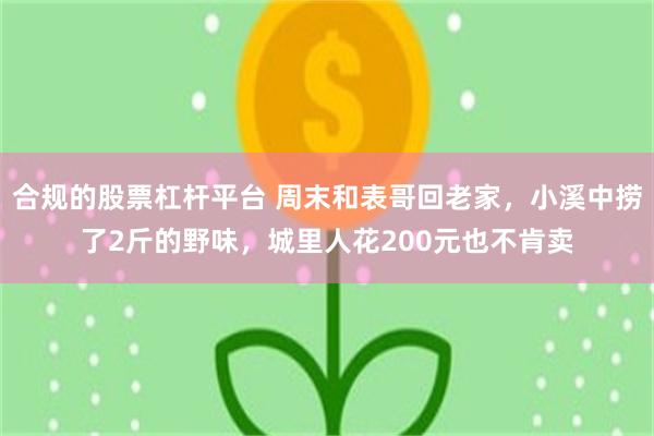 合规的股票杠杆平台 周末和表哥回老家，小溪中捞了2斤的野味，城里人花200元也不肯卖