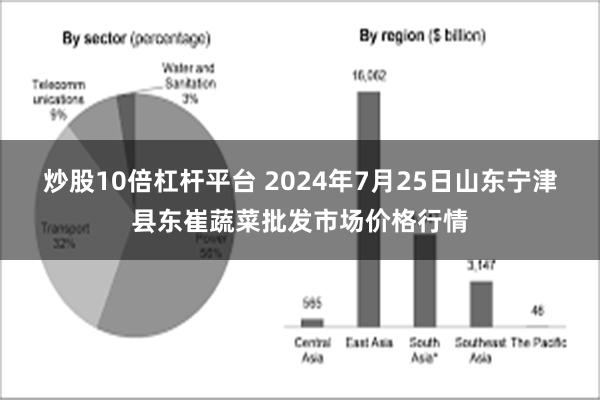 炒股10倍杠杆平台 2024年7月25日山东宁津县东崔蔬菜批发市场价格行情