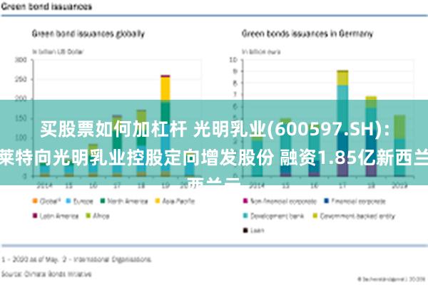 买股票如何加杠杆 光明乳业(600597.SH)：新莱特向光明乳业控股定向增发股份 融资1.85亿新西兰元