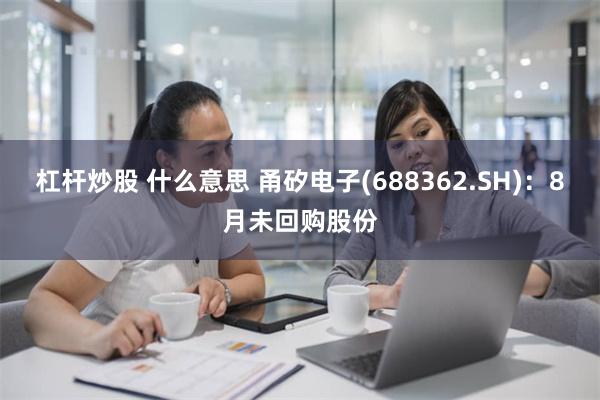 杠杆炒股 什么意思 甬矽电子(688362.SH)：8月未回购股份