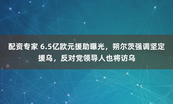 配资专家 6.5亿欧元援助曝光，朔尔茨强调坚定援乌，反对党领导人也将访乌