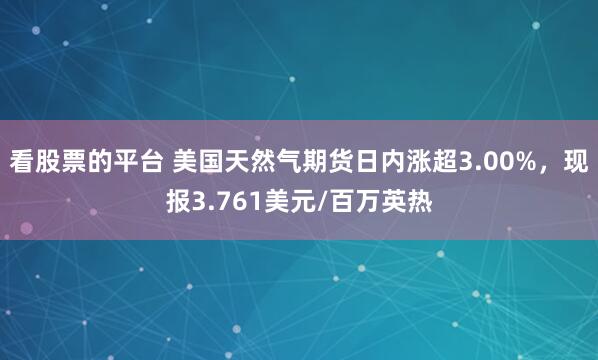 看股票的平台 美国天然气期货日内涨超3.00%，现报3.761美元/百万英热